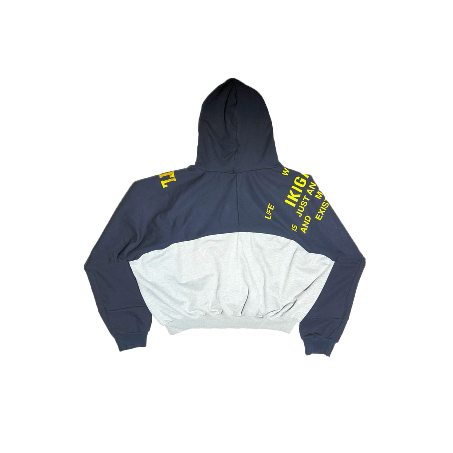 IKIGAI DOUBLE BOXYFIT HOODIE
